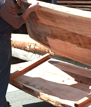 テーブル材(小国杉)